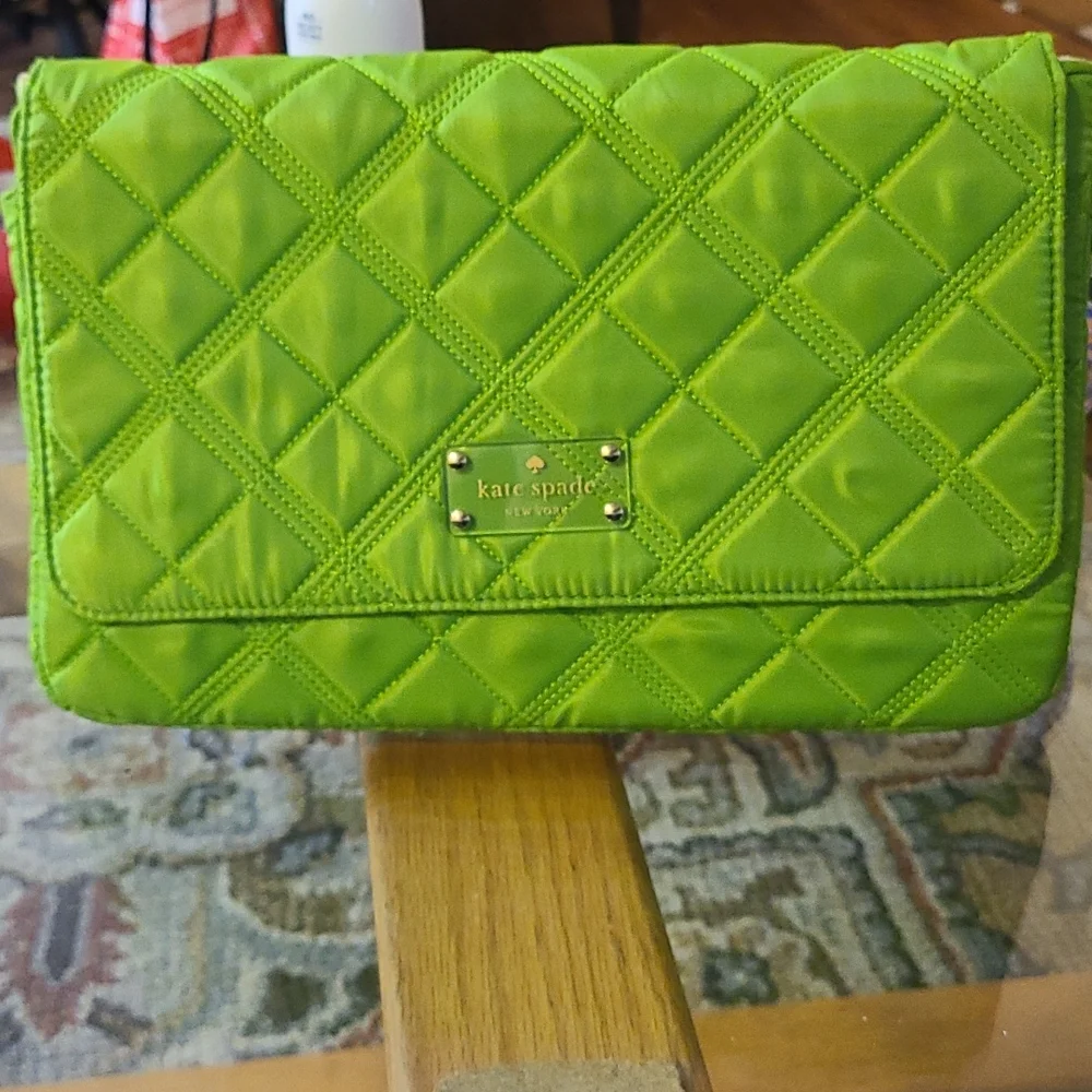 Very cute Kate Spade Summer iPad/Air transport bag.